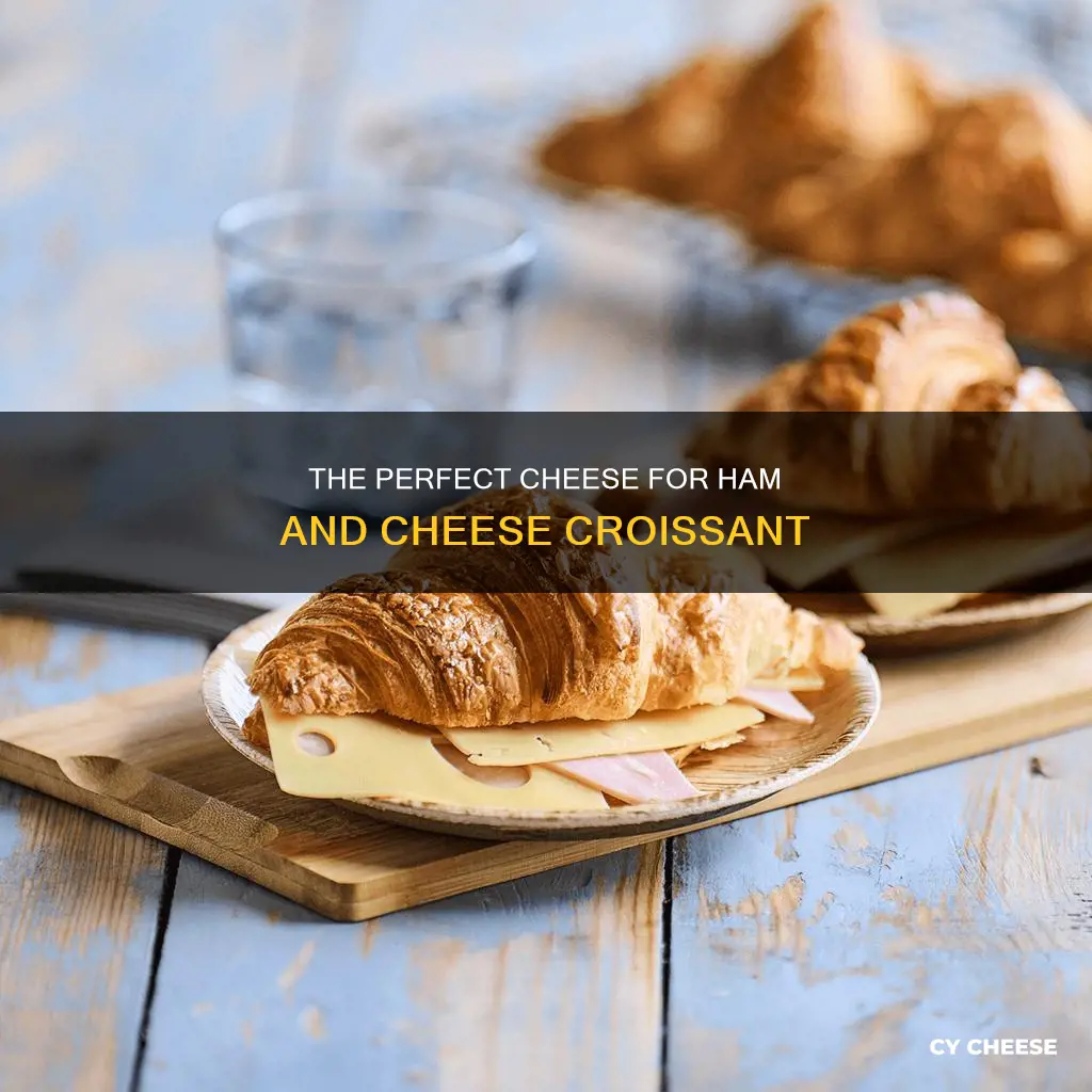 what cheese is best for ham and cheese croissant