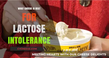 Best Cheeses for Lactose Intolerant: What to Eat