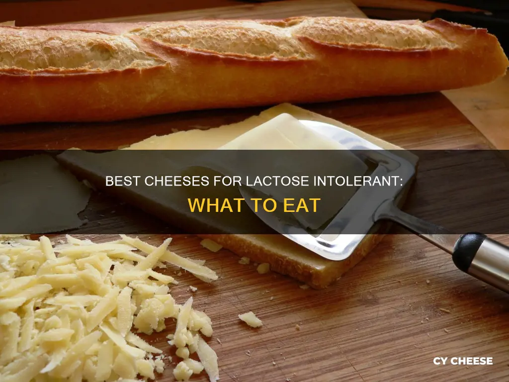 what cheese is best for lactose intolerance