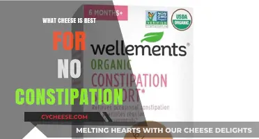 Cheese for Smooth Digestion: Best Types to Avoid Constipation