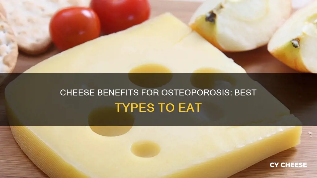 what cheese is best for osteoporosis