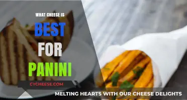 Cheese for Panini: Melting Moments