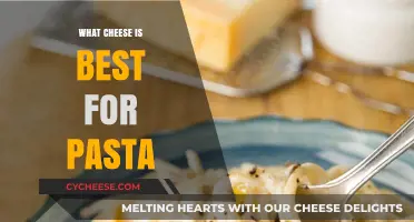 The Perfect Pasta: Choosing the Right Cheesy Delight