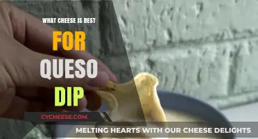 Cheese for the Perfect Queso Dip