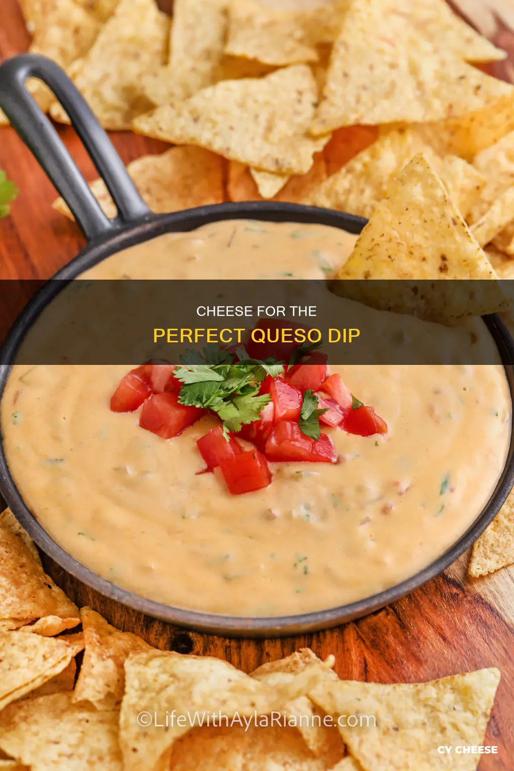 what cheese is best for queso dip