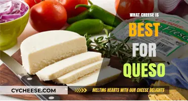 Cheese for Queso: The Best Melting Varieties