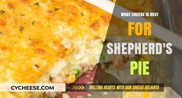Shepherd's Pie: Which Cheeses Melt and Brown Best?