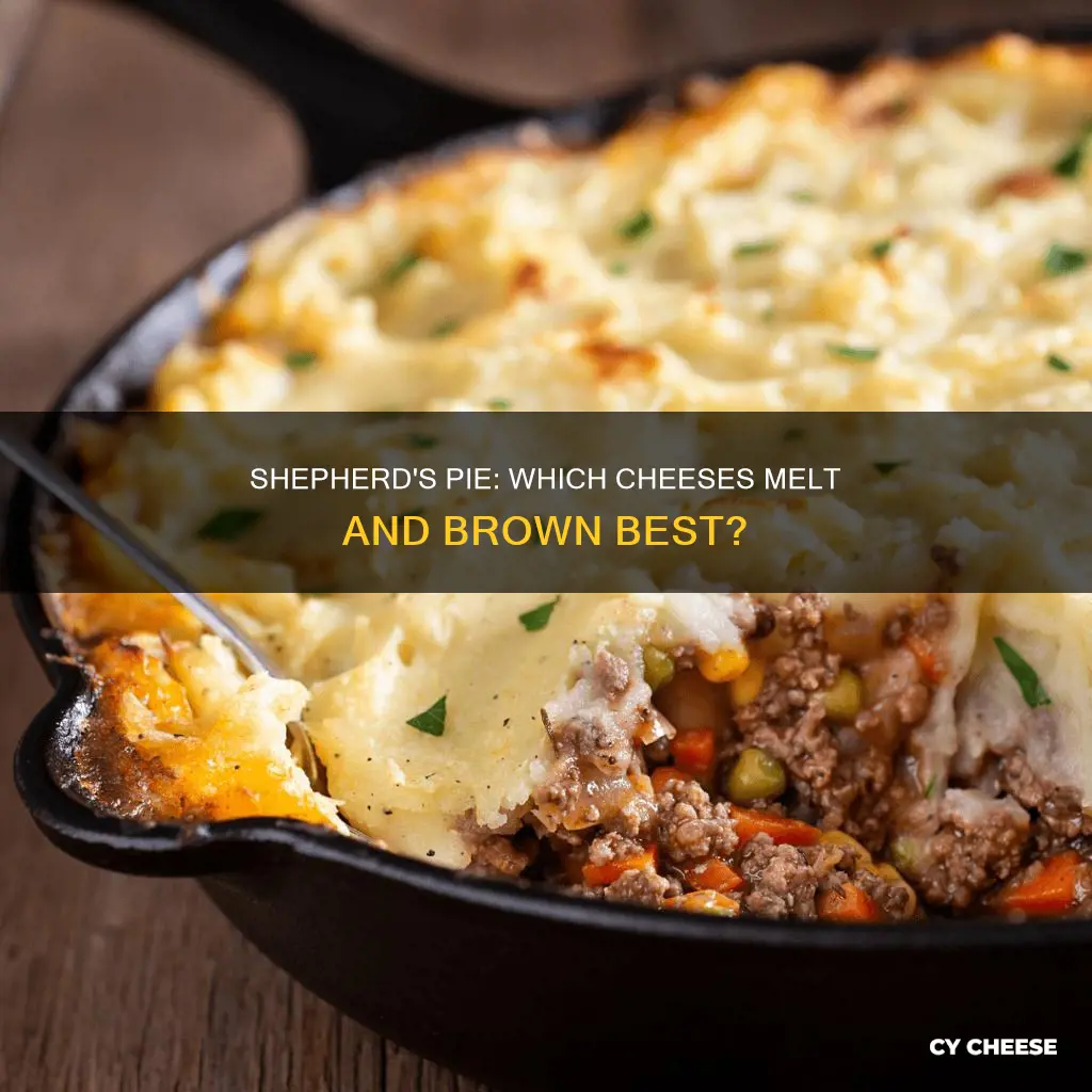 what cheese is best for shepherd