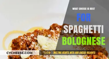 The Best Cheeses to Sprinkle on Your Spaghetti Bolognese