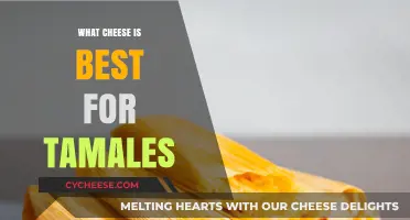 Cheese Choice for Delicious Tamales