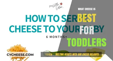 Cheese for Toddlers: What Are the Best Options?