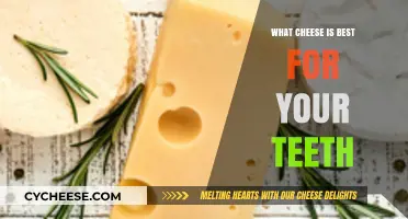 Cheese for Teeth: Which Cheeses Protect Your Smile?