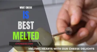 Cheese Melting: The Best Varieties for Your Dish