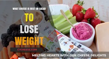 Cheese for Weight Loss: Best Salad Toppings