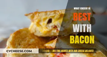 Best Cheeses to Pair with Bacon