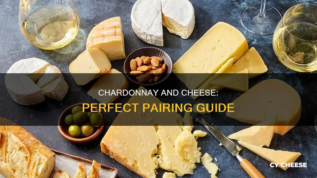 what cheese is best with chardonnay