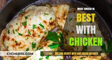 Chicken and Cheese: The Perfect Pairing