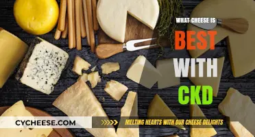 Best Cheeses for a CKD Diet
