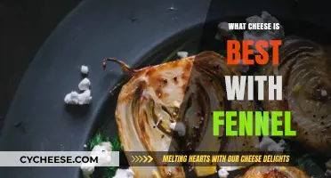 Fennel's Favorite Cheeses: A Perfect Pairing Guide