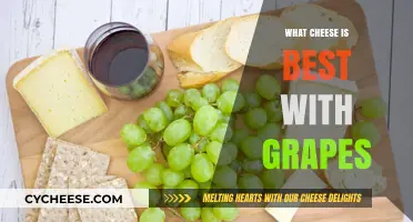 Cheese and Grapes: A Perfect Pairing Guide