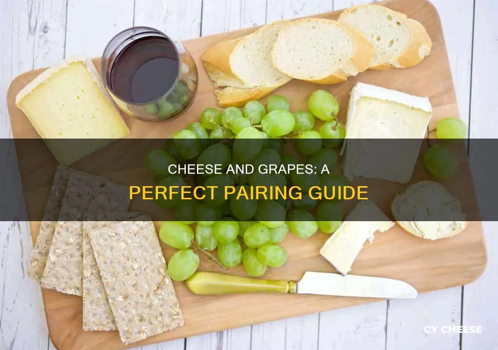 what cheese is best with grapes