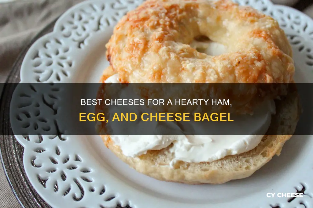 what cheese is best with ham egg and cheese bagel