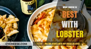 Best Cheeses to Pair with Lobster