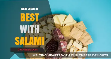 Salami's Perfect Cheese Partners: A Tasty Guide