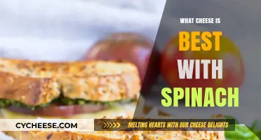 Spinach's Perfect Cheese Partners: A Guide