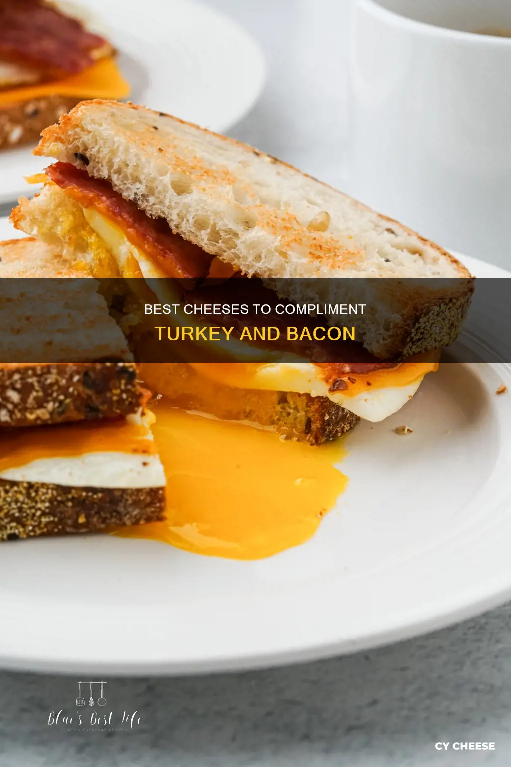 what cheese is best with turkey & bacon