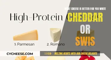 White Cheddar vs. Swiss Cheese: Unraveling the Nutritional Differences