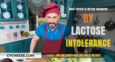 Lactose Intolerance? Discover Cheese Options That Are Easier to Digest