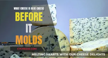 Unveiling Blue Cheese's Pre-Mold Identity: A Cheesy Mystery Solved
