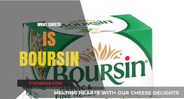 Discover Boursin Cheese: Its Origin, Flavor, and Culinary Uses