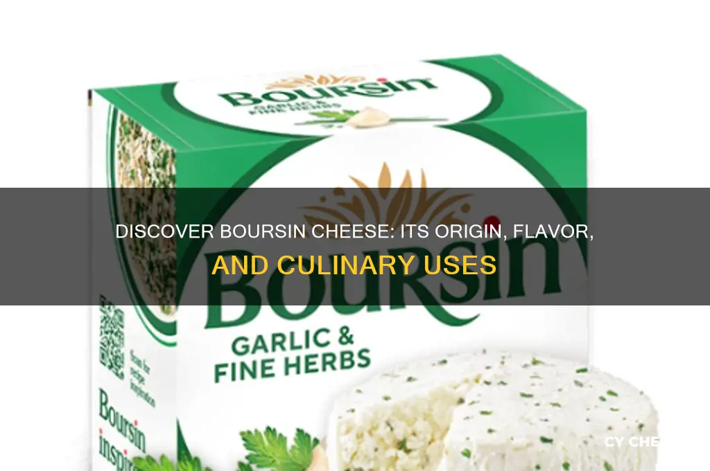 what cheese is boursin