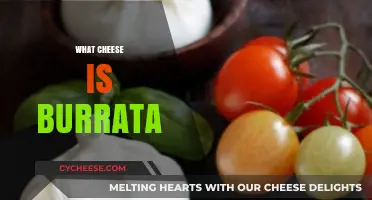 Discover Burrata: The Creamy, Dreamy Italian Cheese You'll Love