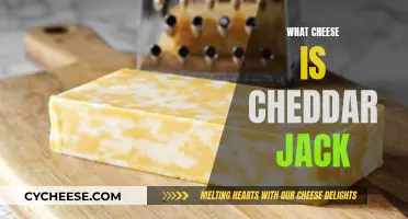 Unveiling the Mystery: Cheddar Jack's Cheesy Identity