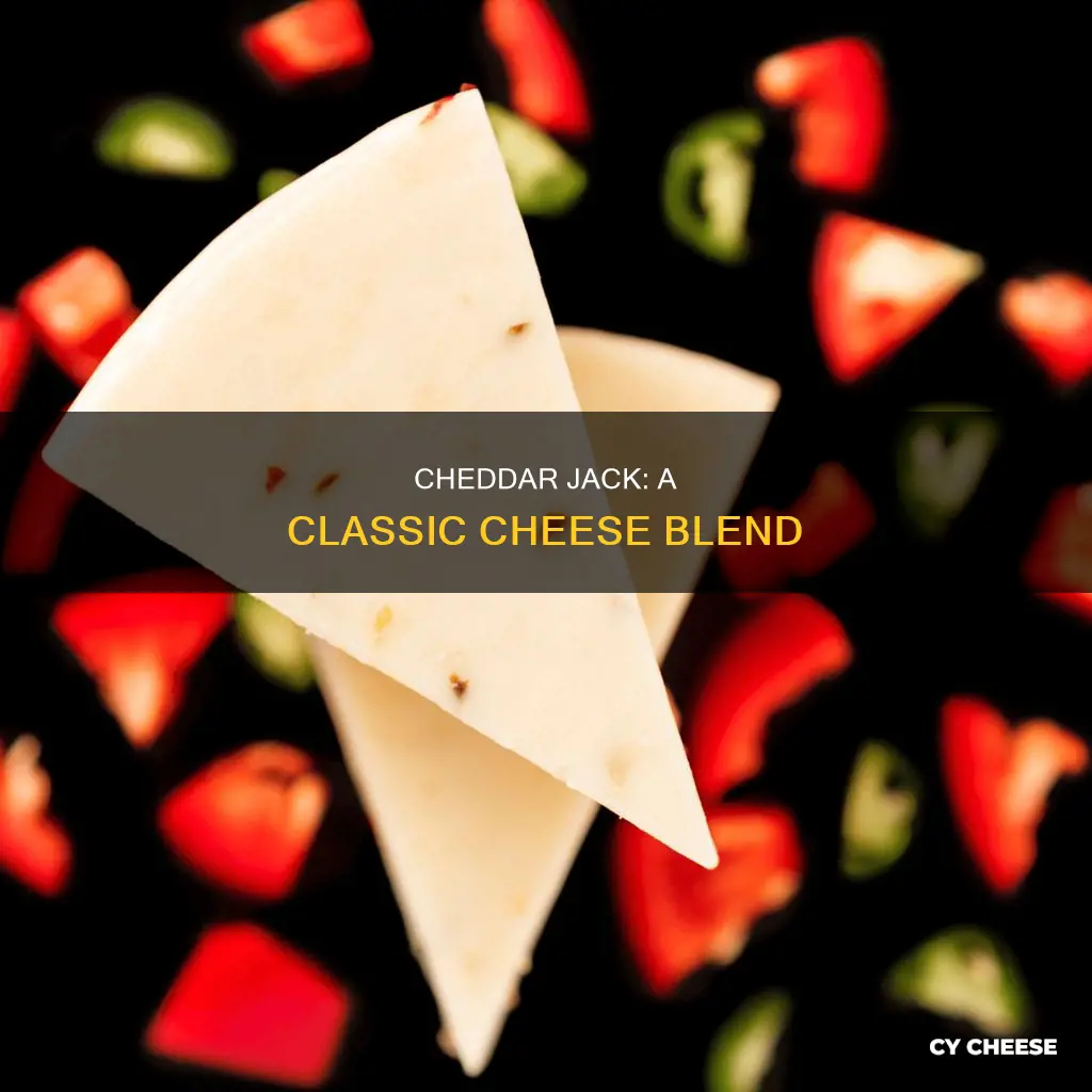 what cheese is cheddar jack