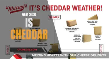 The Ultimate Guide to Cheddar Cheese: History, Flavor, and More