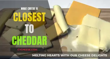 Exploring Cheddar's Closest Cousins: A Cheesy Adventure