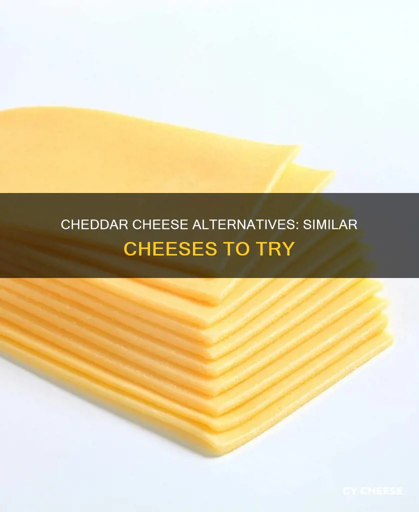what cheese is closest to cheddar