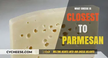 Best Parmesan Cheese Alternatives for Your Pasta