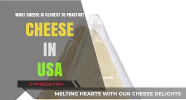 Discovering the Closest American Cheese to Czech Prastost: A Tasty Match