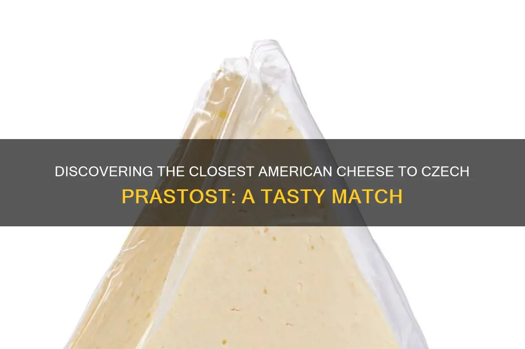 what cheese is closest to prastost cheese in usa