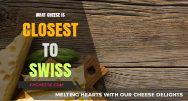 The Cheeses That Rival Swiss Flavor