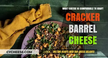 Discover Cheeses Similar to Kraft Cracker Barrel for Your Pantry