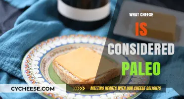 Paleo-Friendly Cheese Guide: Discover Dairy Options for Your Ancestral Diet