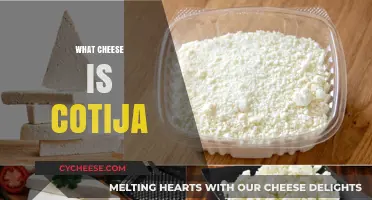 Discover Cotija Cheese: Origins, Uses, and Unique Flavor Profile