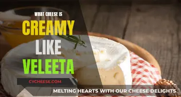 Cheese Pull: Creamy, Dreamy Cheeses Like Velveeta