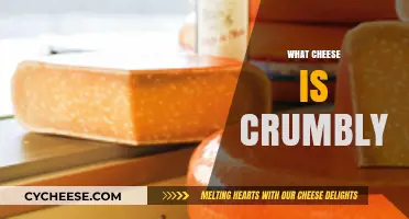 Discovering Crumbly Cheese Varieties: Texture, Taste, and Top Picks